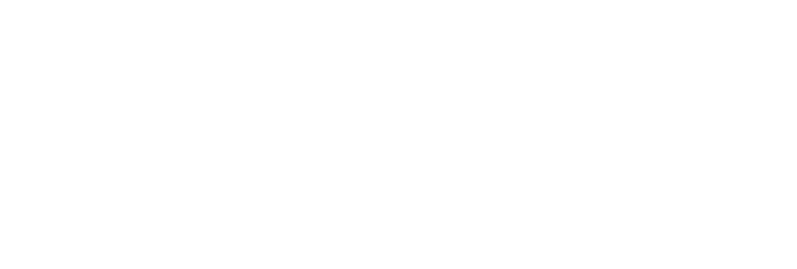 logo-dirtybird-smaller