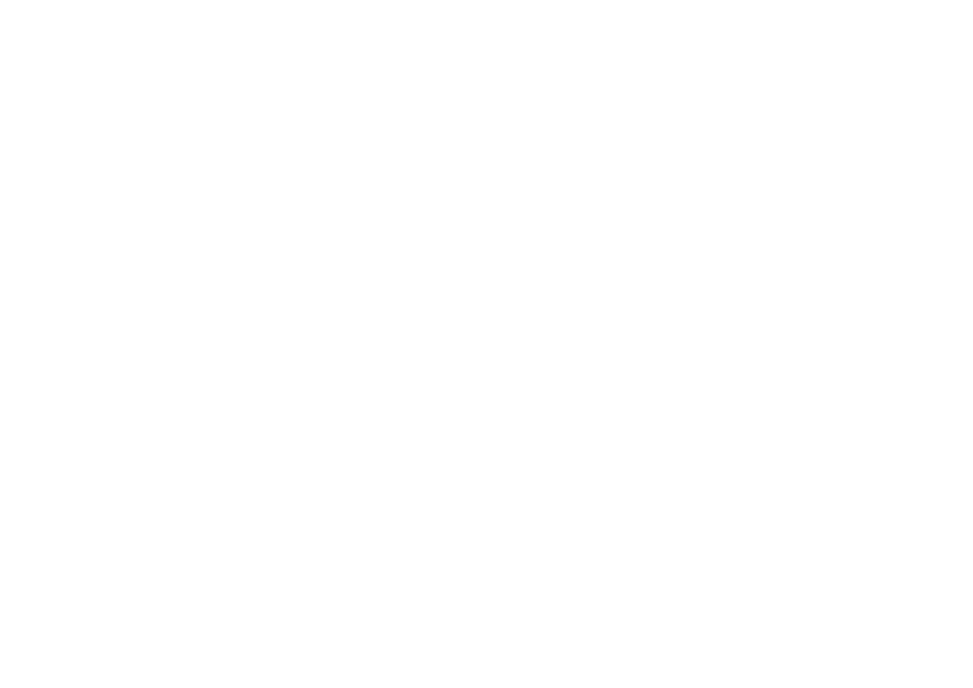 logo-dirtybird